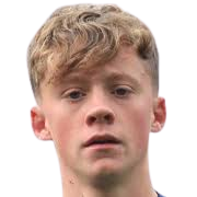 伊森·布里尔利